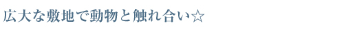 広大な敷地で動物と触れ合い☆