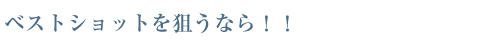 ベストショットを狙うなら！！