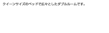 クイーンサイズのベッドで広々としたダブルルームです。